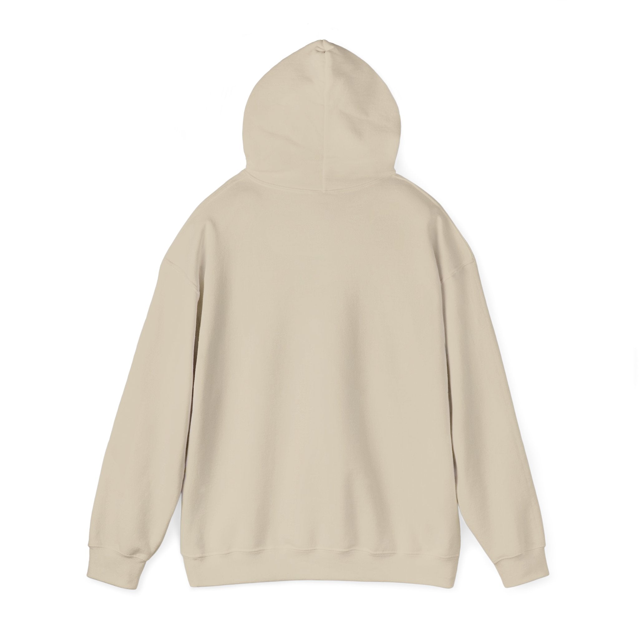 Hoodie — 'Big Dream' Graphic Hoodie with Whimsical Collage Design
