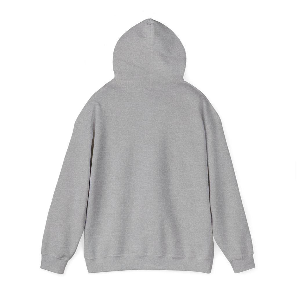 Balance Color Splash Hoodie — Abstract Multicolor Graphic Sweatshirt