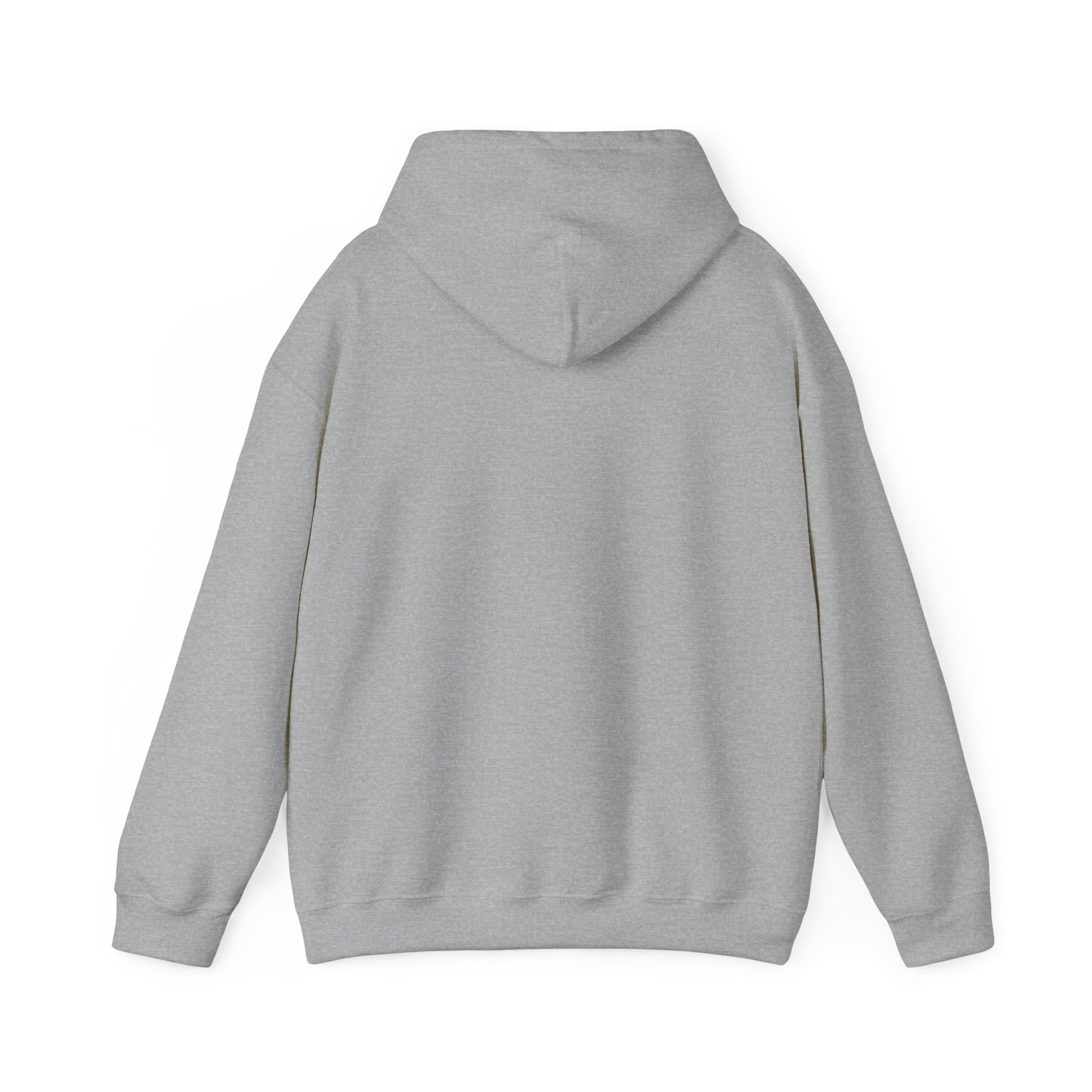 Balance Color Splash Hoodie — Abstract Multicolor Graphic Sweatshirt