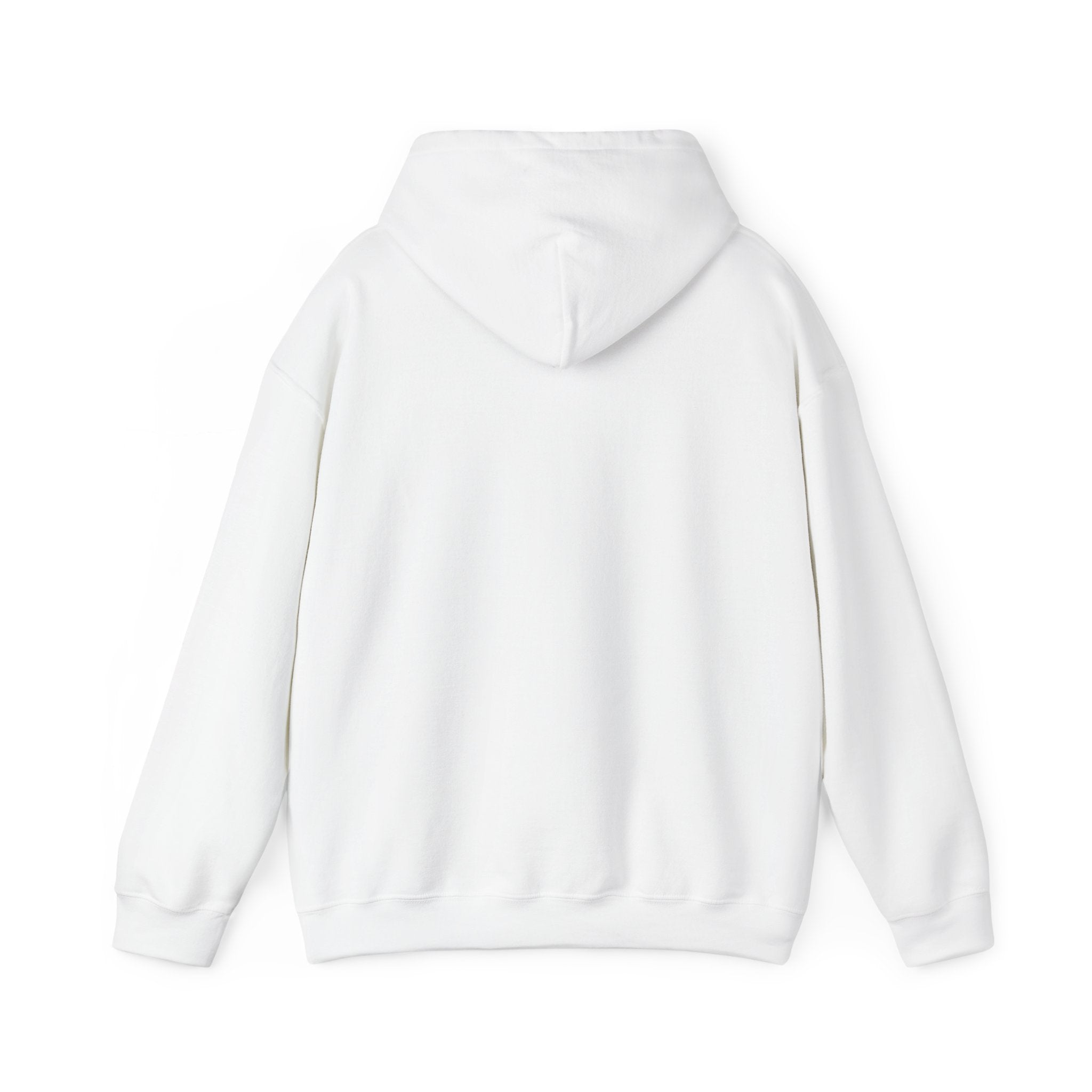 Balance Color Splash Hoodie — Abstract Multicolor Graphic Sweatshirt
