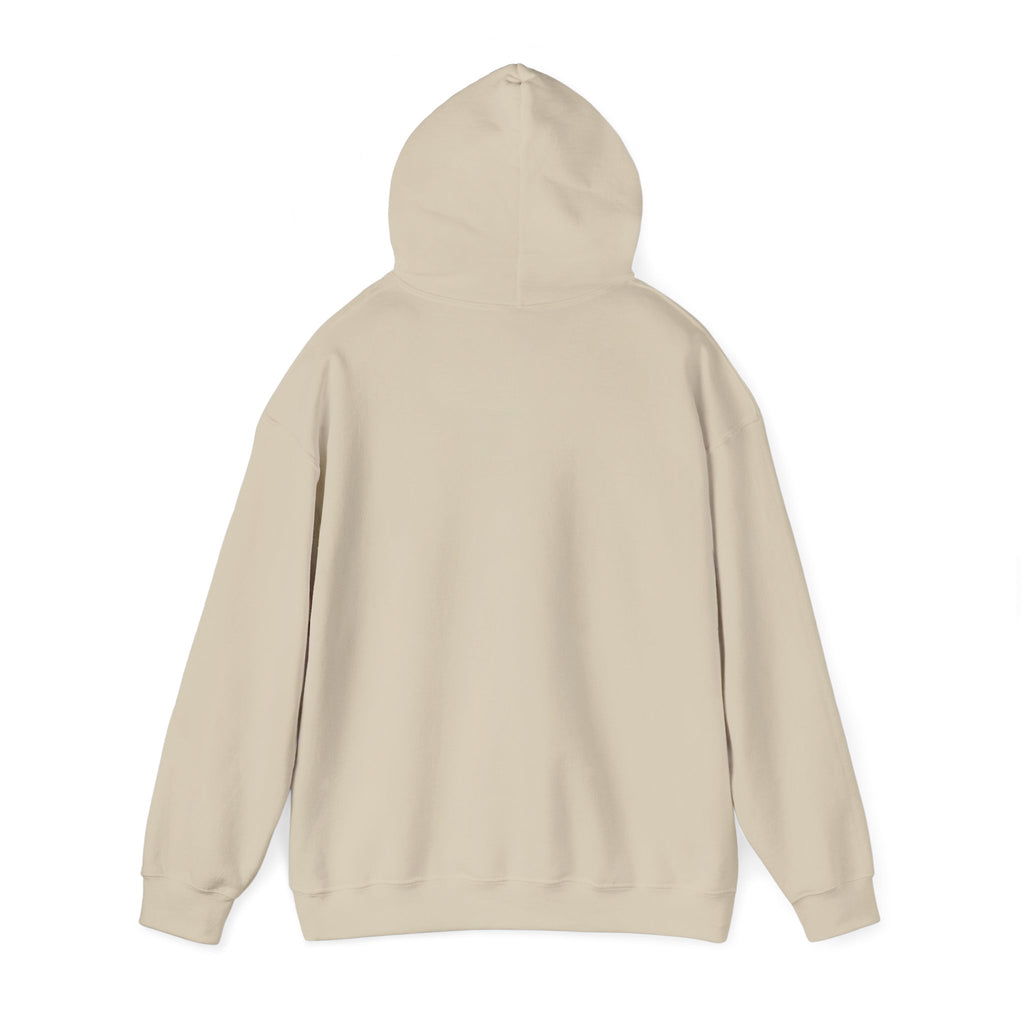 Balance Color Splash Hoodie — Abstract Multicolor Graphic Sweatshirt