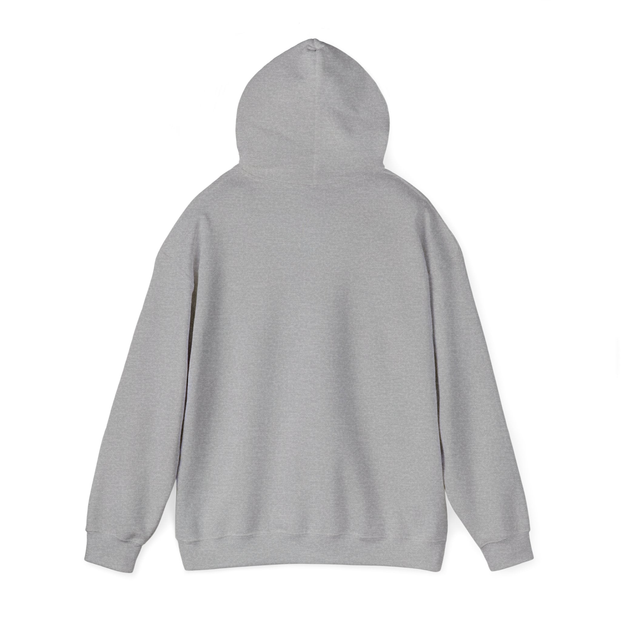 Hoodie — 'Big Dream' Graphic Hoodie with Whimsical Collage Design