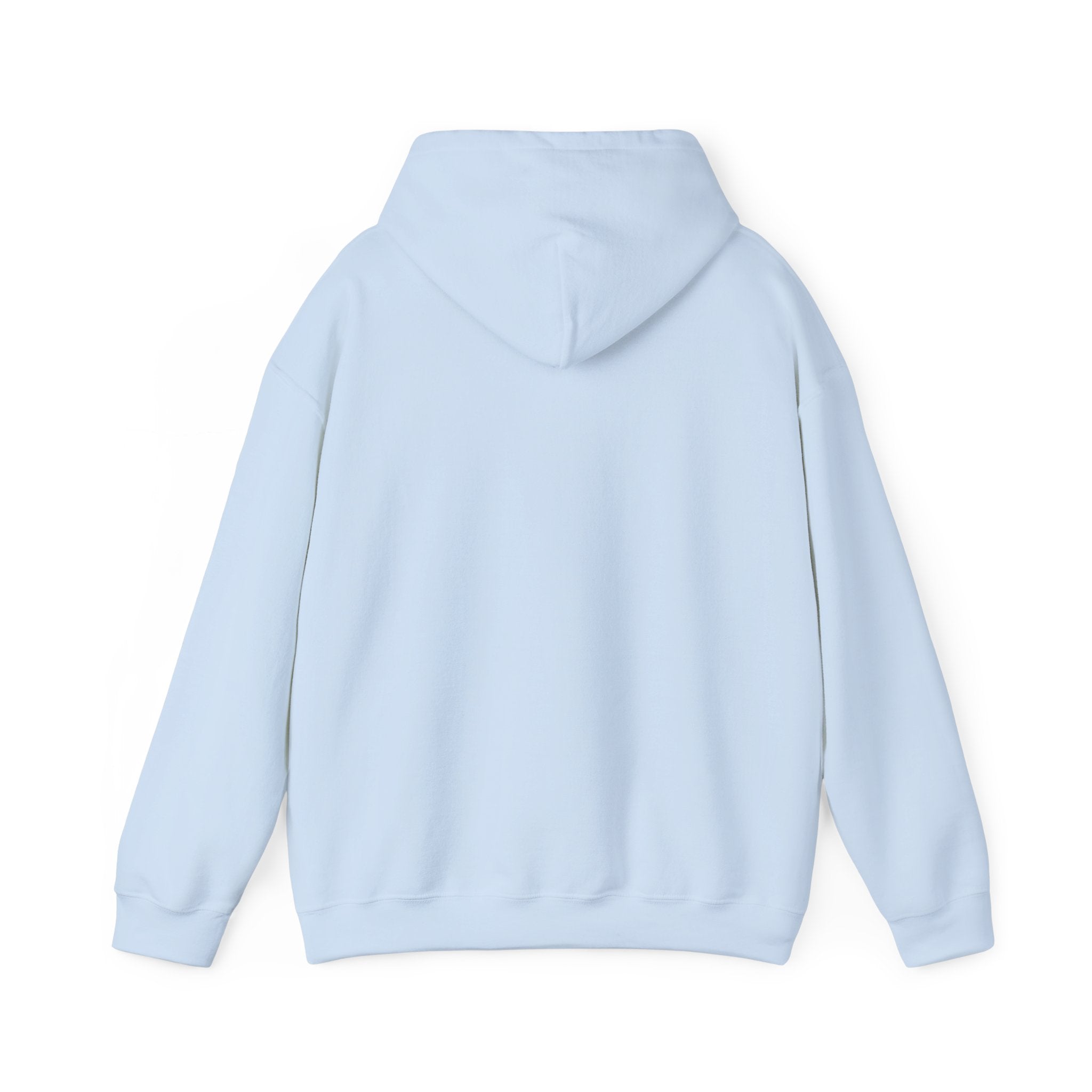 Balance Color Splash Hoodie — Abstract Multicolor Graphic Sweatshirt